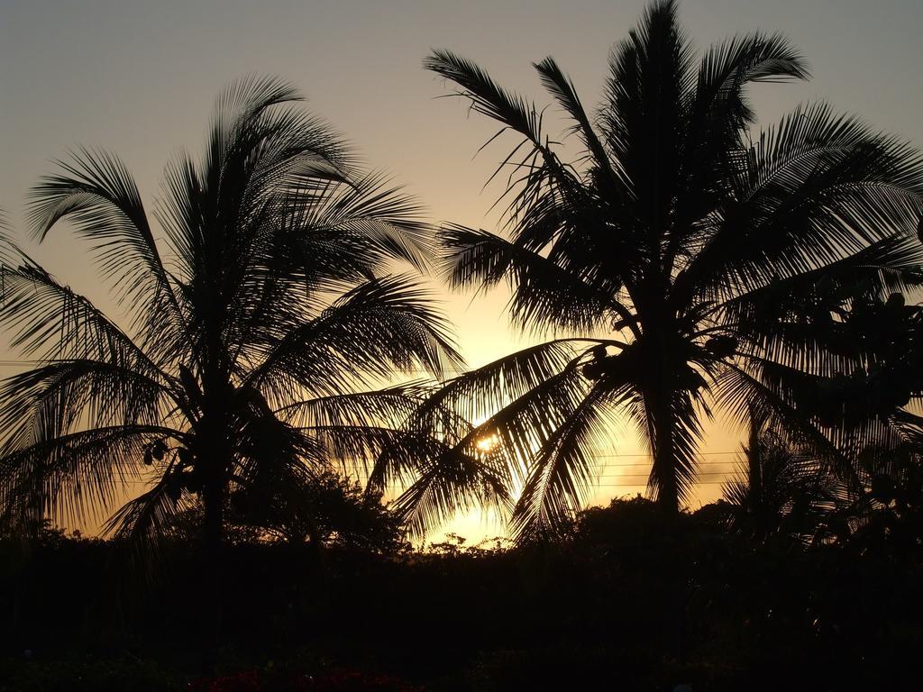 Flamingo Villas Resort Malindi Zewnętrze zdjęcie