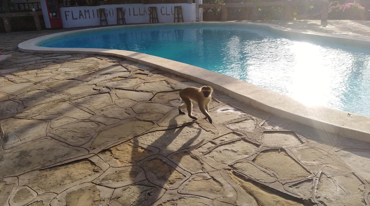 Flamingo Villas Resort Malindi Zewnętrze zdjęcie
