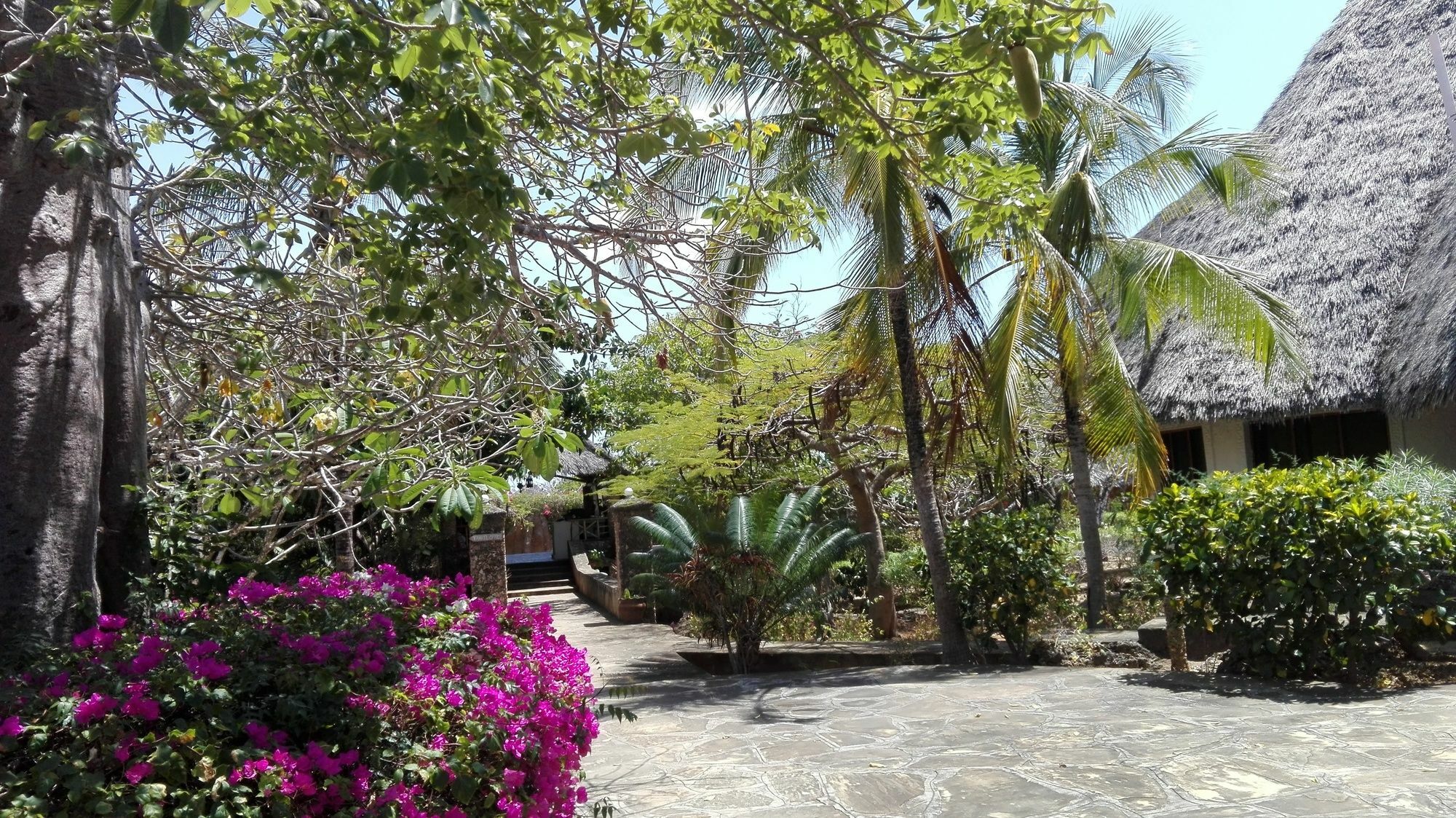 Flamingo Villas Resort Malindi Zewnętrze zdjęcie