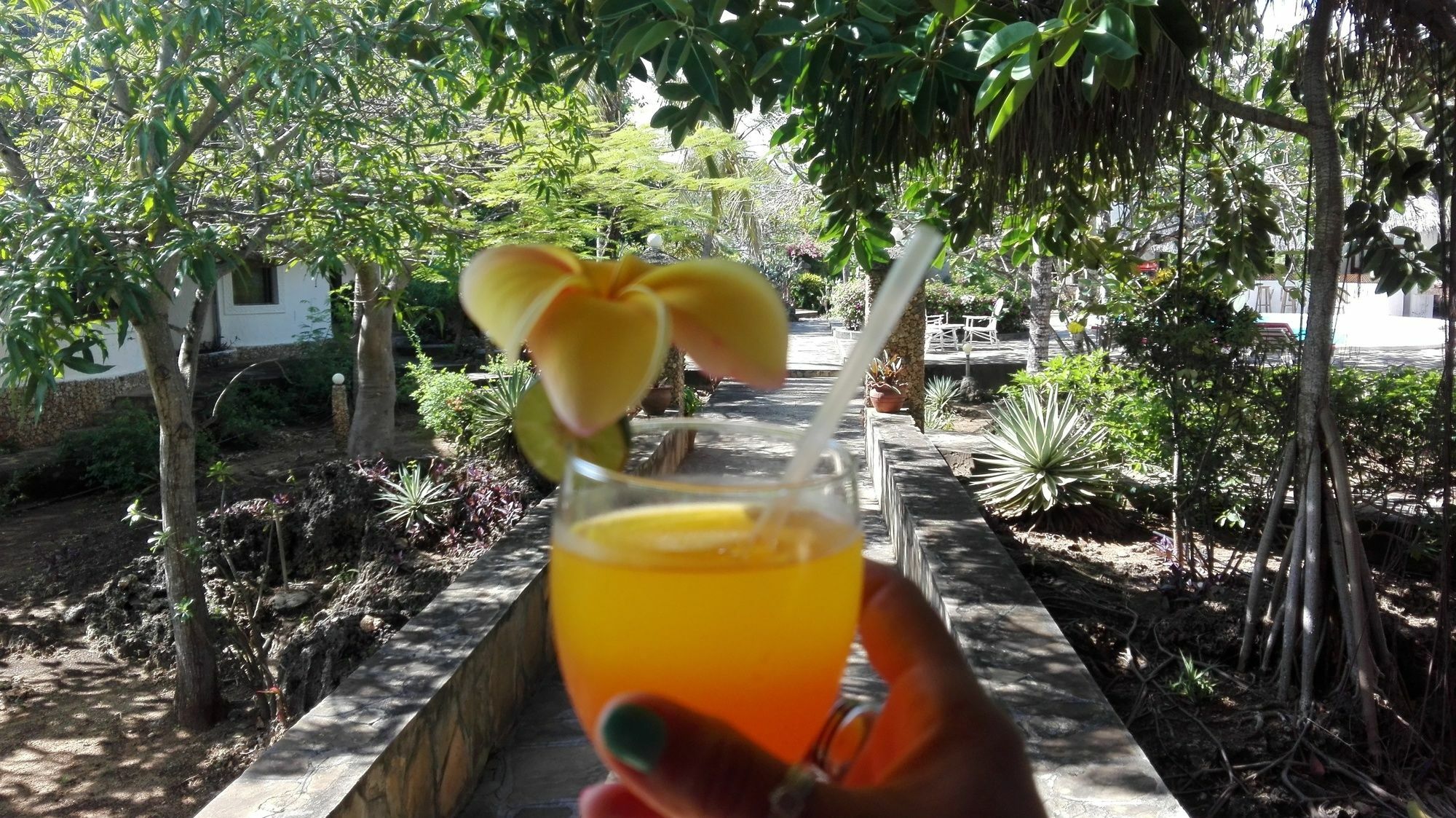 Flamingo Villas Resort Malindi Zewnętrze zdjęcie